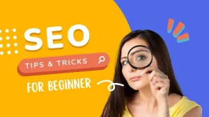 what is seo